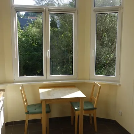 Schiller Fabrikantenwohnung Апартаменты *